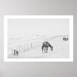 Monochrome Black White Rural Landscape Wilde Paard Poster