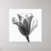 Monochrome botanical fine art photograph canvas afdruk (Voorkant)