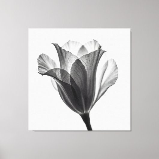 Monochrome botanical fine art photograph canvas afdruk (Voorkant)