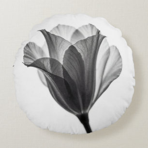 Monochrome botanische fijne kunst fotografie rond kussen