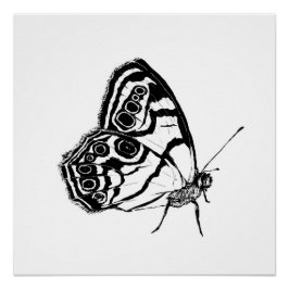 Monochrome Butterfly Perfect Poster