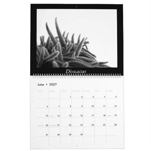 Monochrome Cacti 2016 Kalender (Jun 2027)
