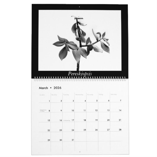 Monochrome Cacti 2025 Kalender (Mar 2026)