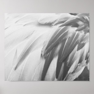 Monochrome Flamingo Feathers Printable Art Poster