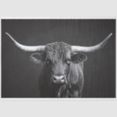Monochrome Longhorn Steer Cattle Decoupage Tissuepapier (Voorkant)