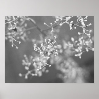 Monochrome Meadow Poster