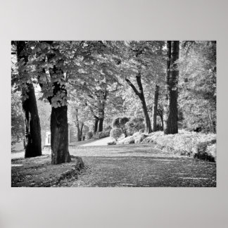 Monochrome meer Como Path Poster