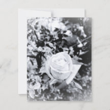 Monochrome Rozen Gastboek voor Trouwen