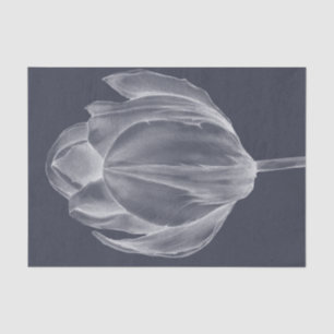 Monochrome Tulip I Tissuepapier