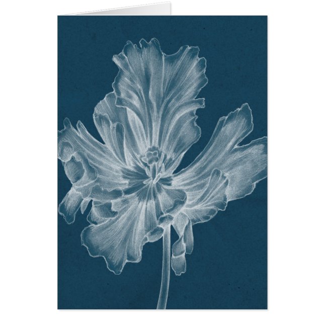 Monochrome Tulip II (Voorkant)