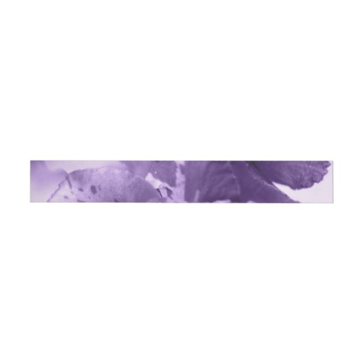 Monochrome Violetten (Individueel)