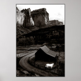 Monochrome witte paarden in Canyonlands Poster