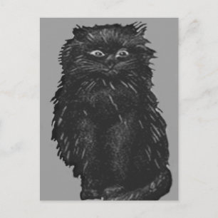Monochrome Zwarte Kat Briefkaart