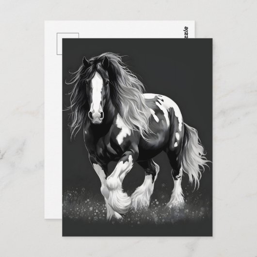 Monochroom Gypsy Cob Paard Briefkaart (Voorkant / Achterkant)