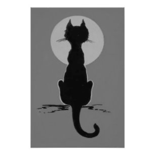 Monochroom Zwart En Wit Zwart Kat Volle Maan Foto Afdruk