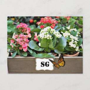 Monogram Bloembak Tuin Ansichtkaart Briefkaart