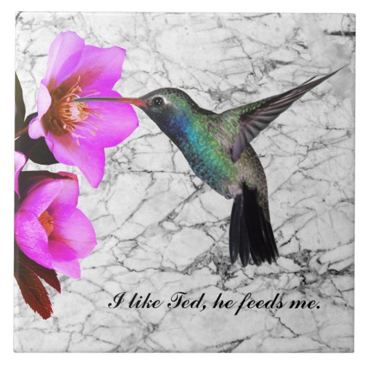 MONOGRAM HUMMINGBIRD TEGELTJE (Voorkant)