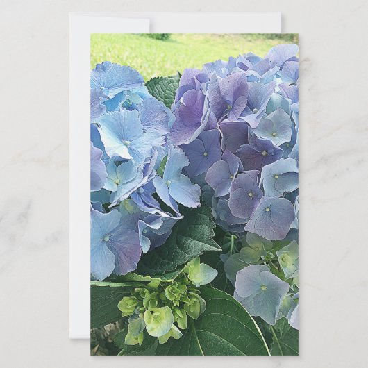 Monogram lichtblauw hydrangea-schrijfpapier briefpapier (Achterkant)