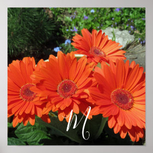 Monogram Oranje Floral Foto Poster