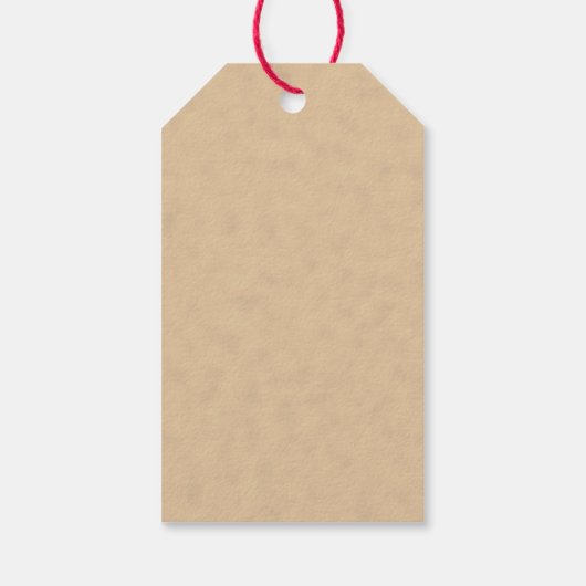 Monogram voor kleurrijke vlieger Rusty Steampunk Cadeaulabel (Achterkant)