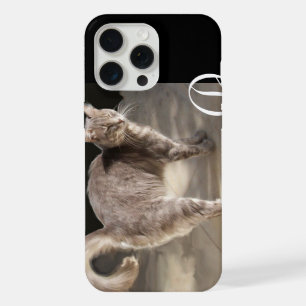MONOGRAMME DE CHAT TURC