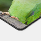 Monogramme personnalisé Macaw 4 Photo Collage (Coin)