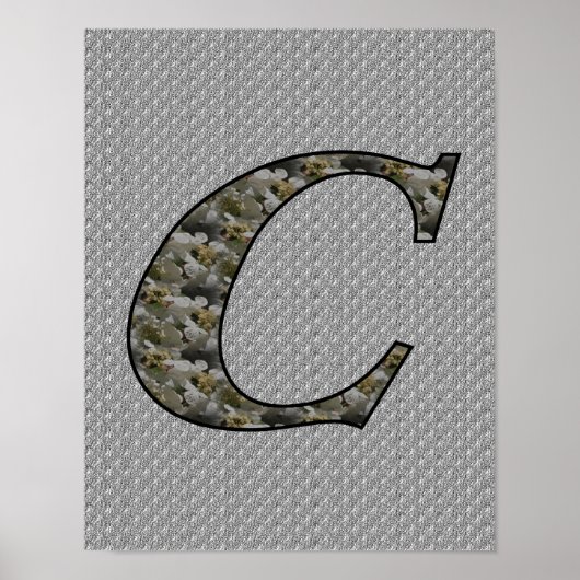 Monogrammen Initiaal C Hydrangea Floral Poster (Voorkant)