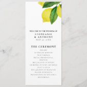 Monogrammen Lemon Branch Greenery De perfecte matc Programma (Voorkant)