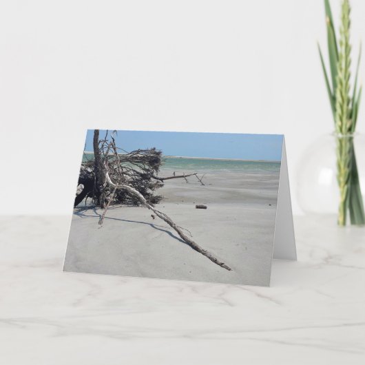 Monomoy National Wildlife Refuge in Cape Cod Kaart (Voorkant)