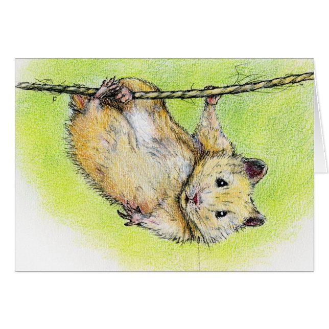 Monsieur Ham (Devant horizontal)