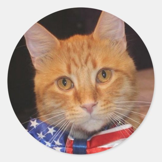 Monsieur le Président aime les autocollants ! (Devant)