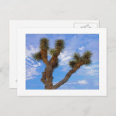 "Monsoon Morning " Briefkaart (Voorkant / Achterkant)