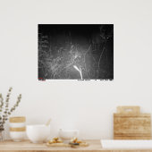Monster Buck Trail Camera Poster (Keuken)