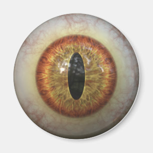 Monster Eye Magneet