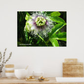 Monster Flower Poster (Keuken)