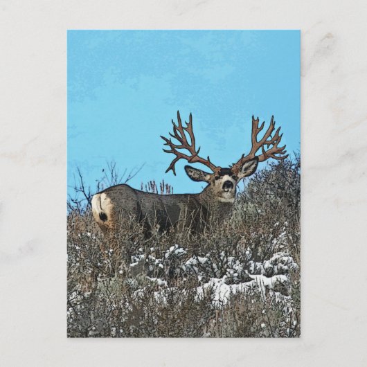 Monster muierhert buck briefkaart (Voorkant)