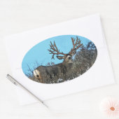 Monster muierhert buck ovale sticker (Envelop)