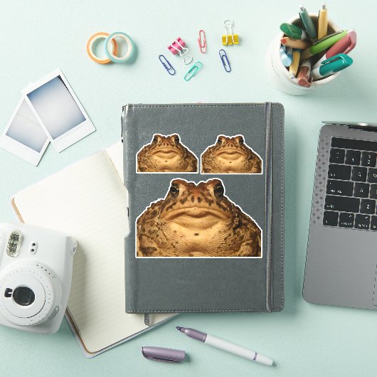 Monster Toad Stickers (iPad Cover)