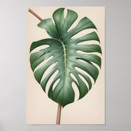 Monstera albo bloem, mooi aards poster (Voorkant)