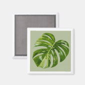 Monstera Albo Hero Leaf Magnet — Rare Variegation  (Recto/Verso)