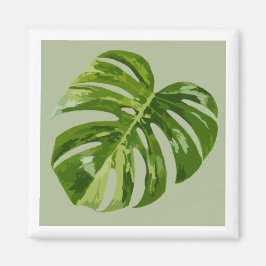 Monstera Albo Hero Leaf Magnet — Rare Variegation  Magneet