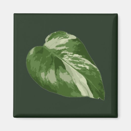Monstera Albo Leaf Magnet — Rare Variegation  Magneet (Voorkant)