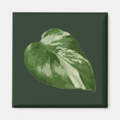 Monstera Albo Leaf — Rare Variegation  Magneet (Voorkant)