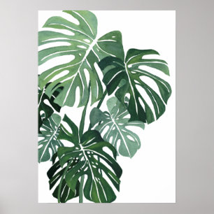 Monstera blad Closeup Poster