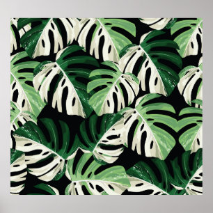 Monstera blad Exotisch zwart patroon Poster