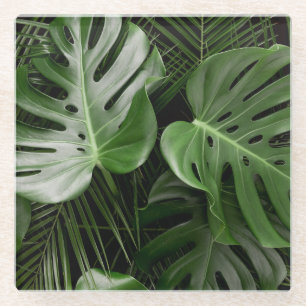 Monstera bladeren, luxe tropische lay-out. glazen onderzetter