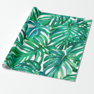 Monstera bladeren op geïsoleerde achtergrond, wat cadeaupapier