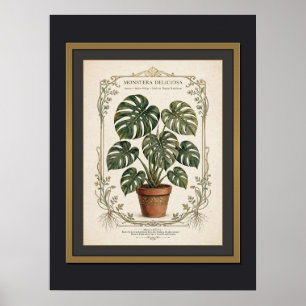 Monstera Deliciosa Vintage Botanische Poster Ingel