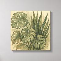  Monstera en Snake Plant Botanisch gebladerte