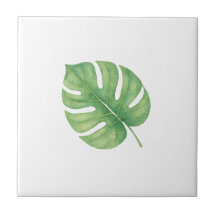 Monstera Grenenblad